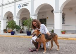 La labor terapéutica de la perrita Musa en SAMU Wellness